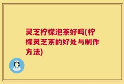 灵芝柠檬泡茶好吗(柠檬灵芝茶的好处与制作方法)