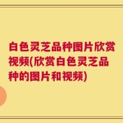 白色灵芝品种图片欣赏视频(欣赏白色灵芝品种的图片和视频)