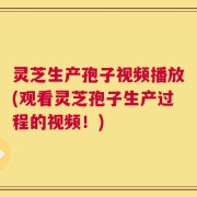 灵芝生产孢子视频播放(观看灵芝孢子生产过程的视频！)