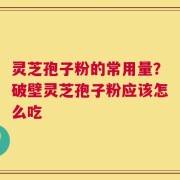 灵芝孢子粉的常用量？破壁灵芝孢子粉应该怎么吃