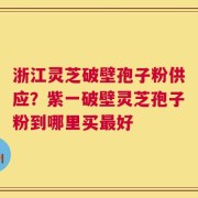 浙江灵芝破壁孢子粉供应？紫一破壁灵芝孢子粉到哪里买最好