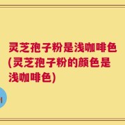 灵芝孢子粉是浅咖啡色(灵芝孢子粉的颜色是浅咖啡色)