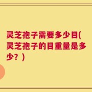 灵芝孢子需要多少目(灵芝孢子的目重量是多少？)