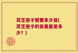 灵芝孢子需要多少目(灵芝孢子的目重量是多少？)