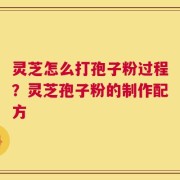 灵芝怎么打孢子粉过程？灵芝孢子粉的制作配方
