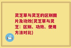 灵芝草与灵芝的区别图片及功效(灵芝草与灵芝：区别、功效、使用方法对比)