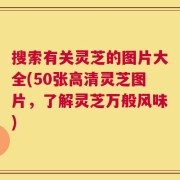搜索有关灵芝的图片大全(50张高清灵芝图片，了解灵芝万般风味)