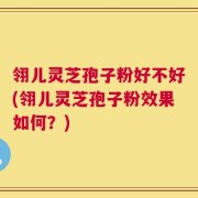翎儿灵芝孢子粉好不好(翎儿灵芝孢子粉效果如何？)