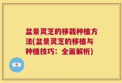 盆景灵芝的移栽种植方法(盆景灵芝的移植与种植技巧：全面解析)