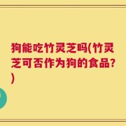 狗能吃竹灵芝吗(竹灵芝可否作为狗的食品？)