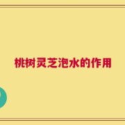 桃树灵芝泡水的作用
