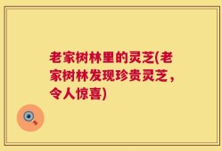 老家树林里的灵芝(老家树林发现珍贵灵芝，令人惊喜)