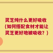 灵芝炖什么更好吸收 (如何搭配食材才能让灵芝更好地被吸收？)