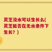 灵芝没水可以生长么(灵芝能否在无水条件下生长？)