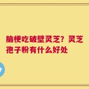 脑梗吃破壁灵芝？灵芝孢子粉有什么好处