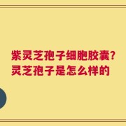 紫灵芝孢子细胞胶囊？灵芝孢子是怎么样的