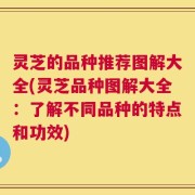 灵芝的品种推荐图解大全(灵芝品种图解大全：了解不同品种的特点和功效)