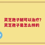 灵芝孢子腿可以治疗？灵芝孢子是怎么样的