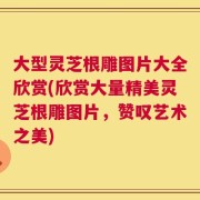 大型灵芝根雕图片大全欣赏(欣赏大量精美灵芝根雕图片，赞叹艺术之美)