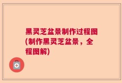 黑灵芝盆景制作过程图(制作黑灵芝盆景，全程图解)