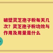 破壁灵芝孢子粉每天几次？灵芝孢子粉功效与作用及用量是什么