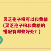 灵芝孢子粉可以和黄精(灵芝孢子粉和黄精的搭配有哪些好处？)