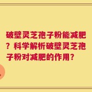 破壁灵芝孢子粉能减肥？科学解析破壁灵芝孢子粉对减肥的作用？