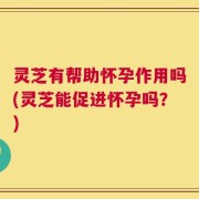 灵芝有帮助怀孕作用吗(灵芝能促进怀孕吗？)
