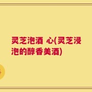 灵芝泡酒 心(灵芝浸泡的醇香美酒)