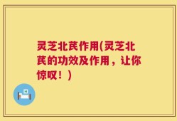 灵芝北芪作用(灵芝北芪的功效及作用，让你惊叹！)