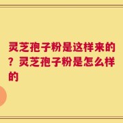 灵芝孢子粉是这样来的？灵芝孢子粉是怎么样的