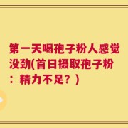 第一天喝孢子粉人感觉没劲(首日摄取孢子粉：精力不足？)