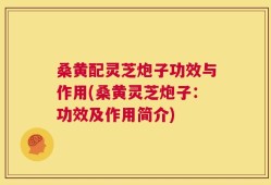 桑黄配灵芝炮子功效与作用(桑黄灵芝炮子：功效及作用简介)