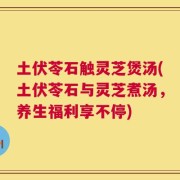 土伏苓石触灵芝煲汤(土伏苓石与灵芝煮汤，养生福利享不停)