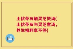 土伏苓石触灵芝煲汤(土伏苓石与灵芝煮汤，养生福利享不停)