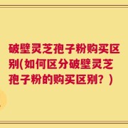 破壁灵芝孢子粉购买区别(如何区分破壁灵芝孢子粉的购买区别？)