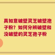 真如意破壁灵芝破壁孢子粉？如何分辨破壁和没破壁的灵芝孢子粉