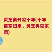 灵芝离开家十年(十年离家归来，灵芝再见家园)