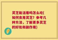 灵芝能活着吗怎么吃(如何食用灵芝？参考几种方法，了解更多灵芝的好处和副作用)