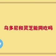 乌多尼和灵芝能同吃吗