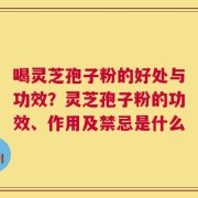喝灵芝孢子粉的好处与功效？灵芝孢子粉的功效、作用及禁忌是什么