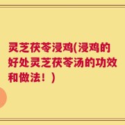 灵芝茯苓浸鸡(浸鸡的好处灵芝茯苓汤的功效和做法！)