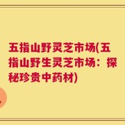 五指山野灵芝市场(五指山野生灵芝市场：探秘珍贵中药材)
