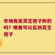 市场有卖灵芝孢子粉的吗？哪里可以买到灵芝孢子