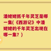 潘姥姥抓千年灵芝是哪一集(《西游记》中潘姥姥的千年灵芝出现在哪一集？)