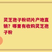 灵芝孢子粉切片产地直销？哪里有收购灵芝孢子粉