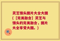 灵芝馒头图片大全大图(【完美融合】灵芝与馒头的完美融合，图片大全享受大图。)