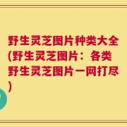 野生灵芝图片种类大全(野生灵芝图片：各类野生灵芝图片一网打尽)