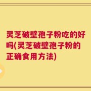 灵芝破壁孢子粉吃的好吗(灵芝破壁孢子粉的正确食用方法)