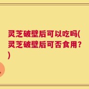 灵芝破壁后可以吃吗(灵芝破壁后可否食用？)
